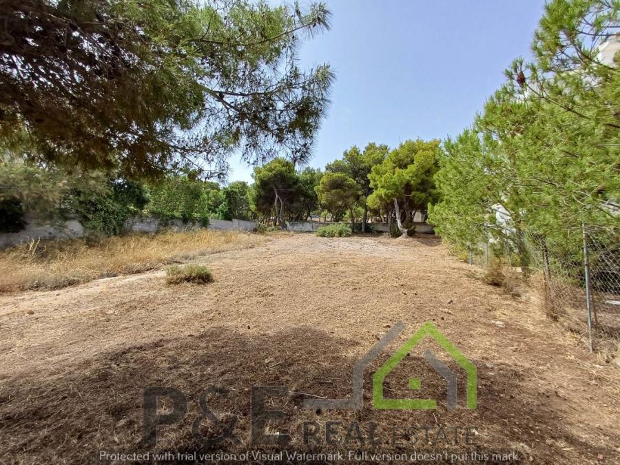 property-img
