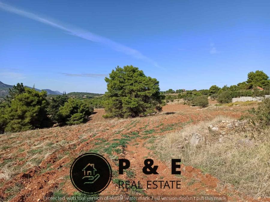 property-img