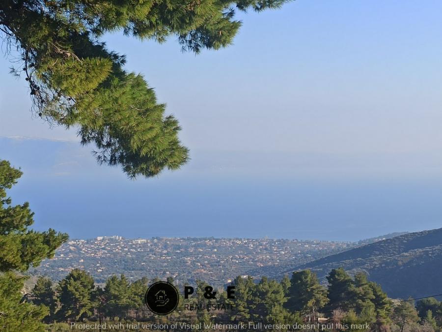 property-img